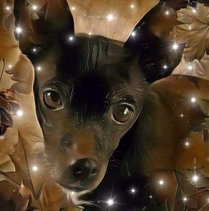 Meet your Posher, Cheryl